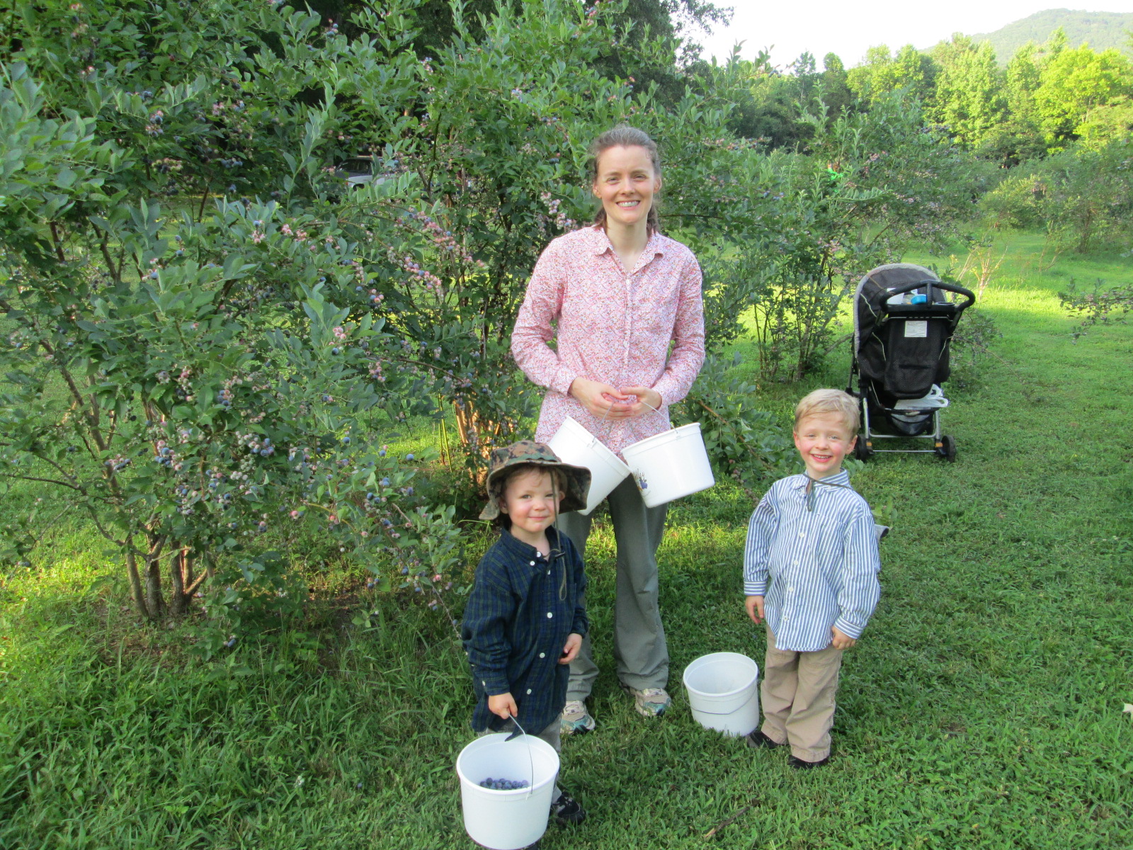 Mom and Children in the Blueberry Rows